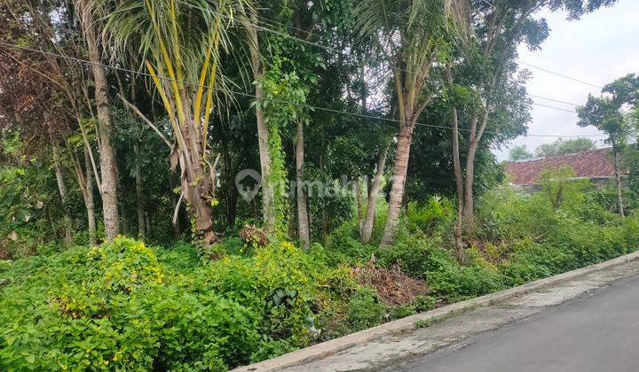 Tanah Murah Area Timur Kampus Uii Sekitar 15 Menit Strategis 2