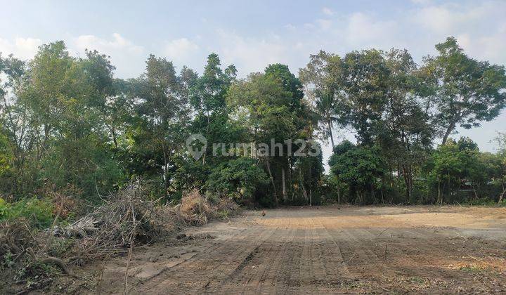 Tanah Premium Di Kalasan, Strategis Dekat Exit Tol Jogja Timur  2