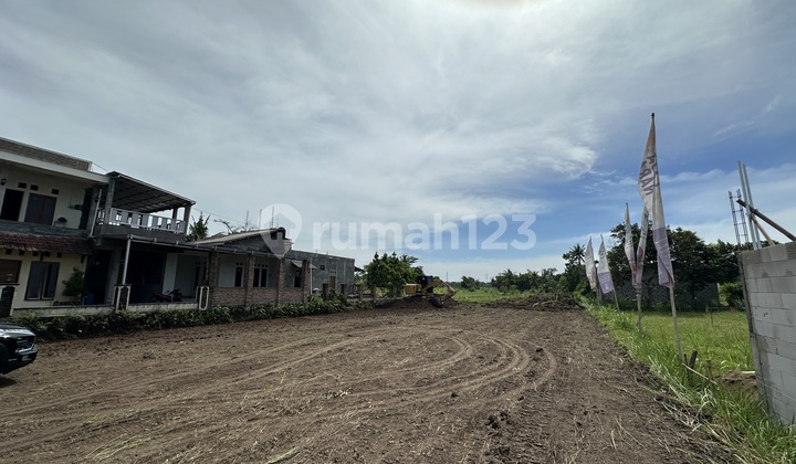Tanah Jogja Utara Pemda Sleman - Cocok Untuk Hunian Pinggir Jalan