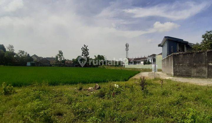 Tanah Pekarangan Cantik Dekat Ambarukmo Plaza Istimewa Sekali 1