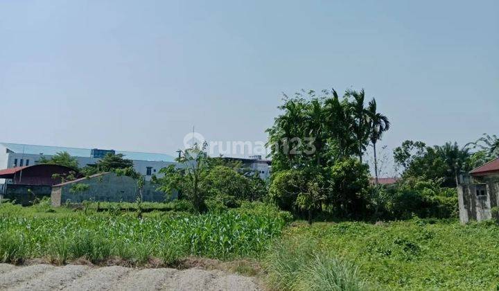 Tanah Kavling Di Medan Selayang Harga Terjangkau Dan Strategis 2