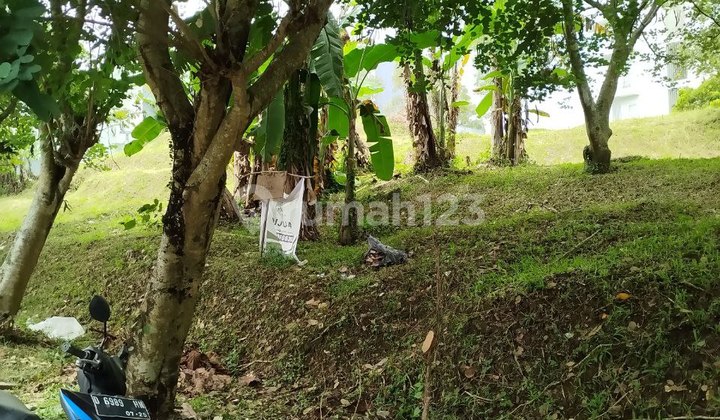 Tanah Luas Murah Jarang Ada Resort Dago Pakar Cocok Untuk Investasi Tanah Luas Murah Jarang Ada Resort Dago Pakar Cocok Untuk Investasi