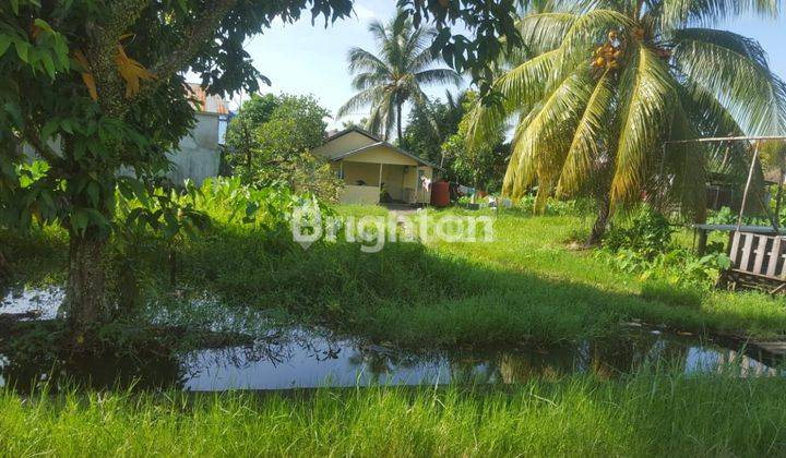 2 BIDANG TANAH GANDENG (SALING MEMBELAKANGI)...KEDUANYA MENGHADAP JALAN 2