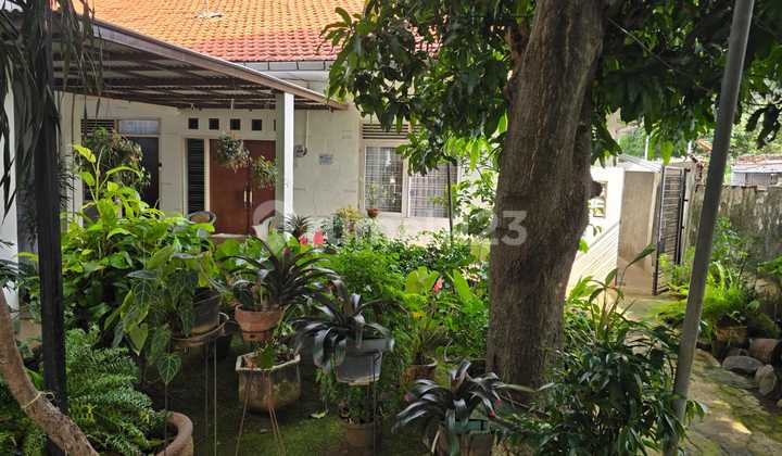 Di Mampang Prapatan,