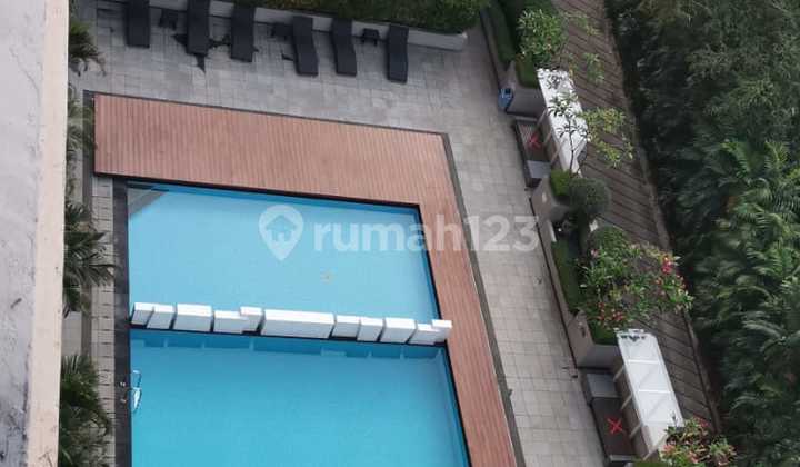 Apartemen Bintaro Park View Type Studio Pool View Apartemen Bintaro Park View Type Studio Pool View