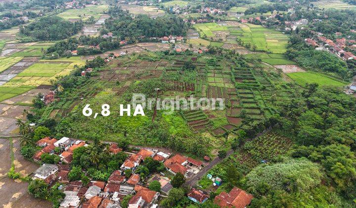 TANAH SUPER MURAH DI CIANJUR, JAWA BARAT 1