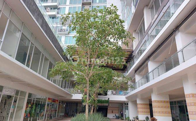 Dijual Cepat Apartemen Full Furnished Sangat Terawat Di Tree Park, BSD City, Lokasi Strategis Di CBD 2