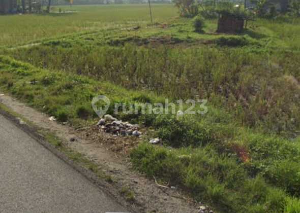 Suitable for Investors, Cheapest Land Price in Rangkasbitung, Attractive Suitable for Investors, Cheapest Land Price in Rangkasbitung, Attractive