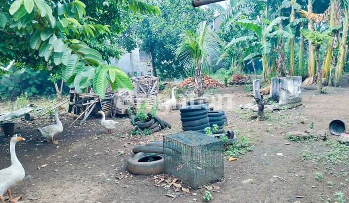 TANAH DATAR STRATEGIS (NGANTONG) 2