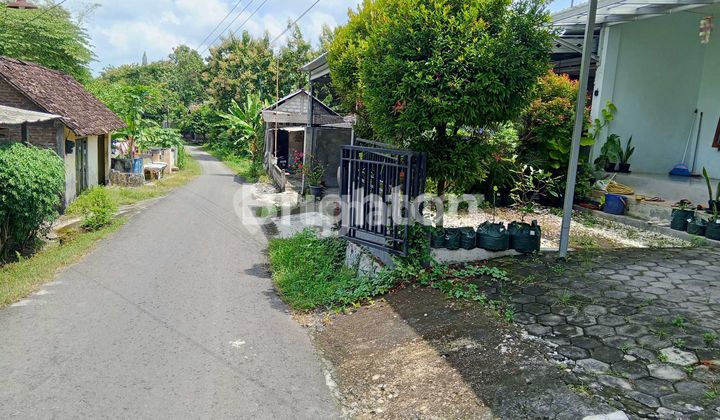 CHARMING HOUSE IN SEWON BANTUL 2