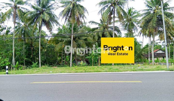 JUAL TANAH DATAR DI JALAN NASIONAL SENTOLO, KULON PROGO  2