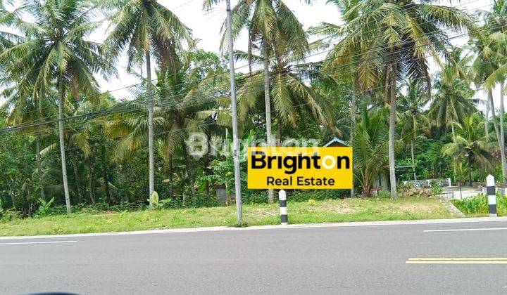 JUAL TANAH DATAR DI JALAN NASIONAL SENTOLO, KULON PROGO  1