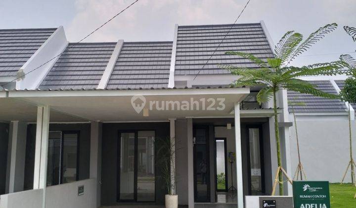 Rumah Cantik Sidoarjo Dp 0 Angsuran 3 Jutaan Rumah Baru HGB - Hak Guna Bangun 1