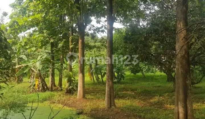 FOR SALE COMMERCIAL LAND IN TANGERANG FOR SALE COMMERCIAL LAND IN TANGERANG