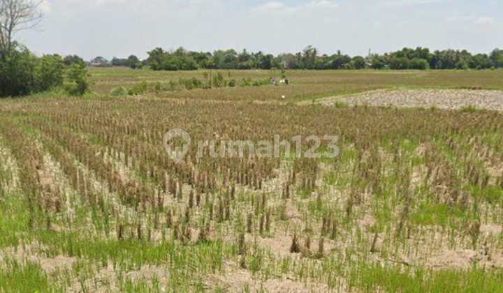 Dijual Tanah Perumahan di Serang Banten