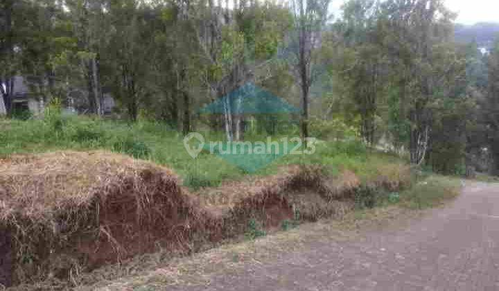 Tanah Kavling Siap Bangun Green City Resort Sindanglaya 1