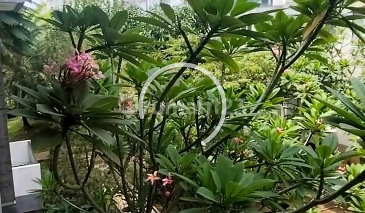 For Rent Low Floor Apartment Rainbow Spring Condovillas Gading Serpong 2