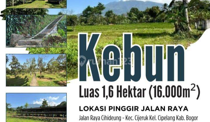 Dijual Kebun 1.6 Hektar Di Jalan Raya Cihideung 1