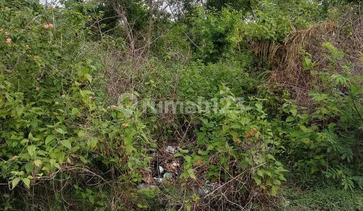 Land for sale located in Gayang Sari, area 31 are, net price 285 million per are. Land for sale located in Gayang Sari, area 31 are, net price 285 million per are.
