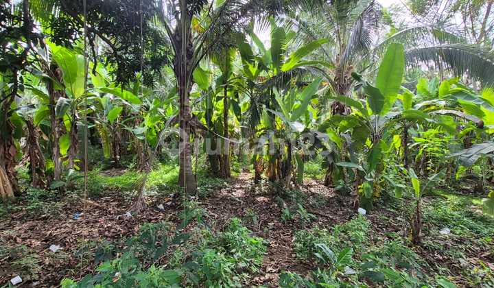 Dijual lahan 34.2 are. Pinggir jalan provinsi Karangasem Dijual lahan 34.2 are. Pinggir jalan provinsi Karangasem