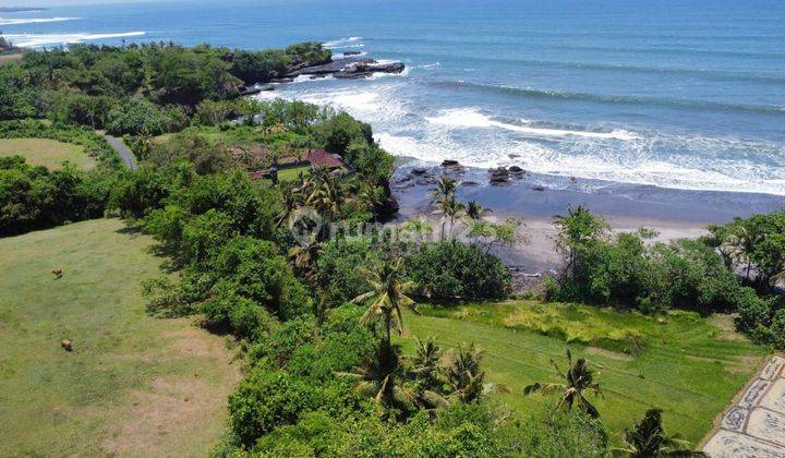 Dijual Lahan Siap Bangun Los Pantai Mejan Balian 2