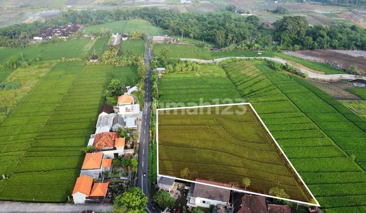 For Sale Land Kelating Tabanan Bali Near Soori Bali Hotel Suitable for Investment, Plots, Villa