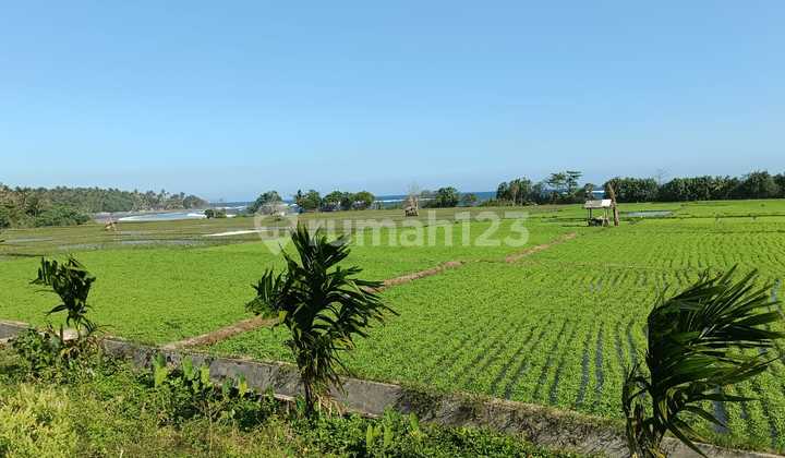 Dijual Tanah Los Pantai Pulukan, Medewi Jembrana Bali