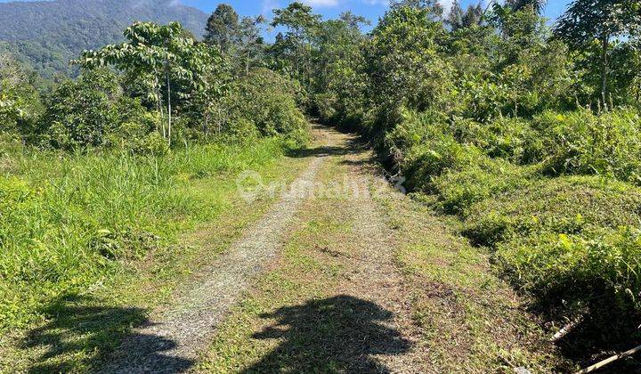 Dijual Tanah Kawasan Gunung Sari Jatiluwih Cocok Untuk Investasi 1