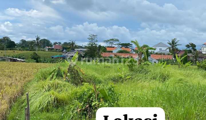 At the Rental Land Near the Beach Location Beach 5 Prerenan At the Rental Land Near the Beach Location Beach 5 Prerenan