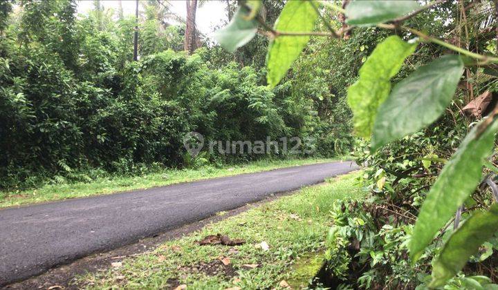 Dijual Lahan Murah View Sawah Tabanan  1