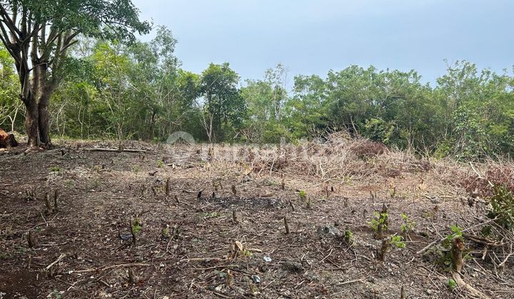 For sale vacant land with ocean view located in Ocean Blue Kampial, Nusadua. For sale vacant land with ocean view located in Ocean Blue Kampial, Nusadua.
