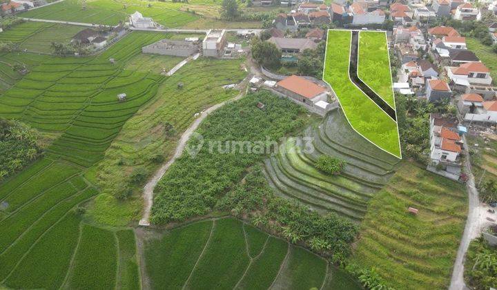 Land Plot In Canggu Available For Sale With Ricefield View 2