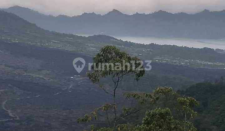 Dijual Lahan Lokasi Pinggir Jalan Raya Penelokan Kintamani Dijual Lahan Lokasi Pinggir Jalan Raya Penelokan Kintamani