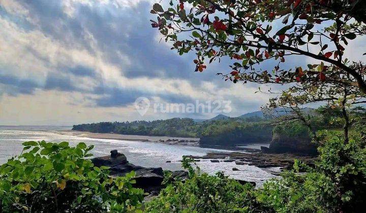 Dijual Cepat Tanah Kosong di Kawasan Pariwisata Tabanan 1