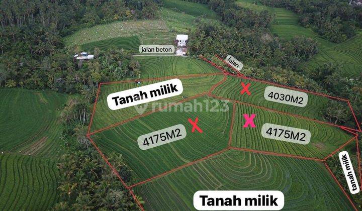 Di Jual Tanah Sangat Cocok Untuk Glamping Tabanan 2