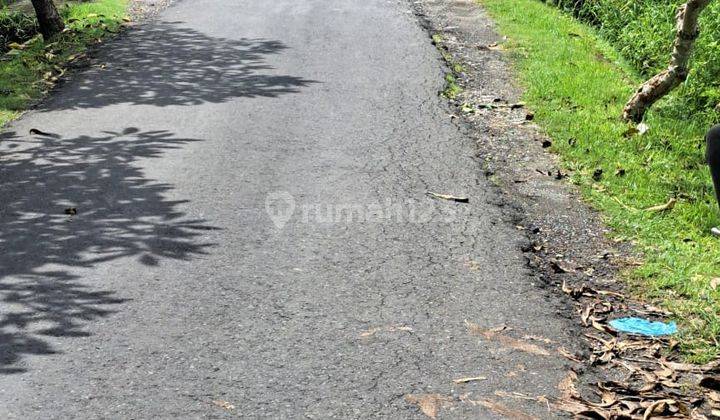 Lahan Disewakan Komplek Villa Pererenan 1