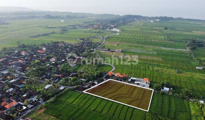 For Sale Land Kelating Tabanan Bali Near Soori Bali Hotel Suitable for Investment, Plots, Villa