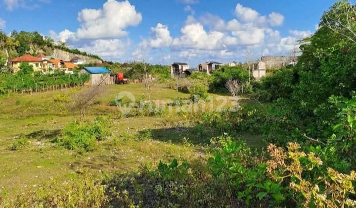 CHEAP AND BUC FOR SALE OCEAN VIEW LAND LOCATED AT JL. TULIP UNGASAN TOYANING 2 UNGASAN, SOUTH KUTA, BADUNG-BALI