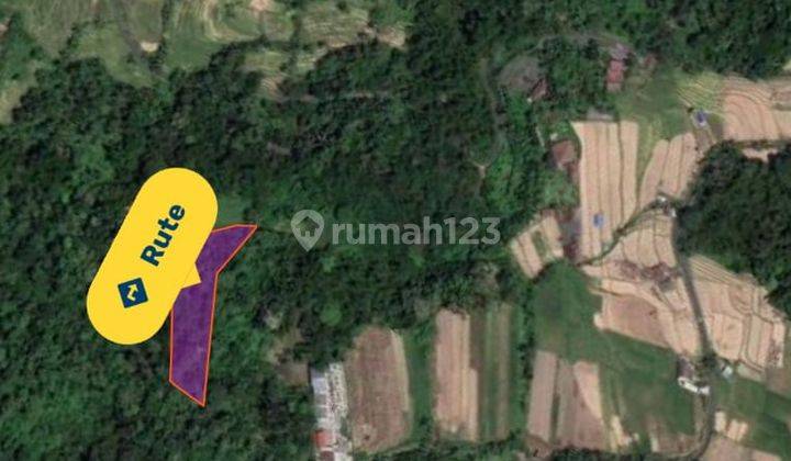 Dijual Tanah Tabanan View Sawah Cocok Untuk Villa 2