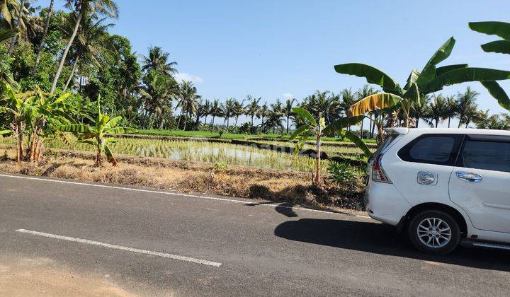 Dijual Tanah Di Jln Utama Kebo Iwa Pangkung Timbah Pantai Kedungu, Tabanan 2