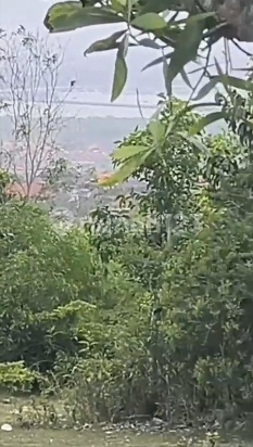 Dijual tanah lokasi di ungasan, full view Bandara Air port, toll benoa Patung Gwk