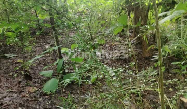 DIJUAL - LAHAN Mundeh kutuh di smpn 5 kutsel