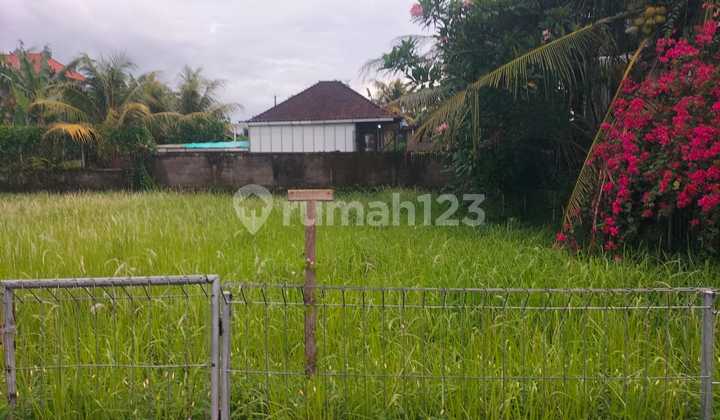 DIJUAL TANAH VIEW SAWAH LOKASI AREA LODTUNDUH UBUD DIJUAL TANAH VIEW SAWAH LOKASI AREA LODTUNDUH UBUD