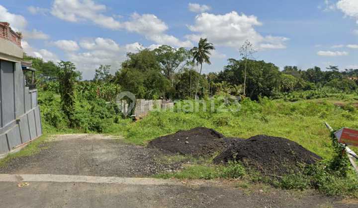 FOR SALE - LAND IN BAKBAKAN, GIANYAR, BALI (BUC)