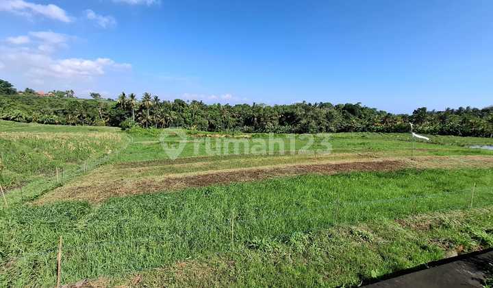 Land for Sale near Bebali Beach Land for Sale near Bebali Beach