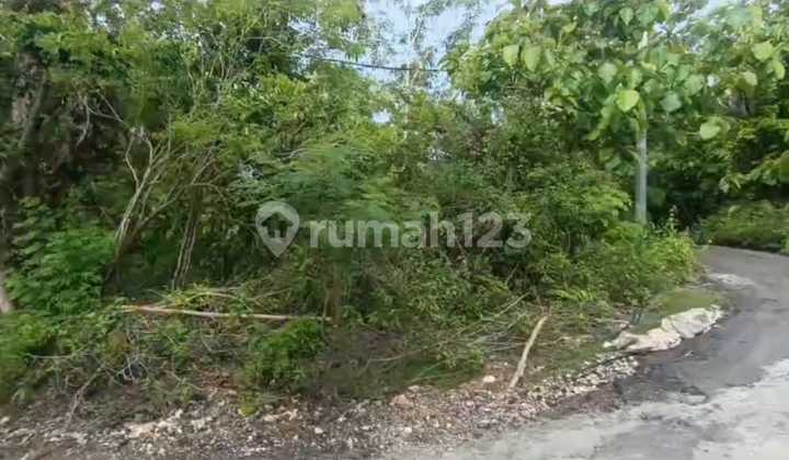 Land for Sale in the Tourist Area, Located on Jalan Belong Bunter Pecatu