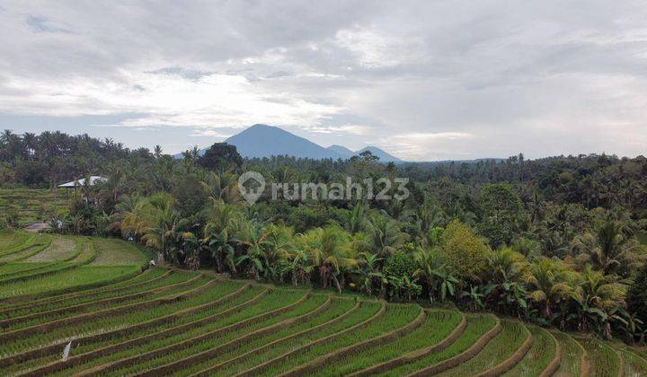 Di Jual Tanah Sangat Cocok Untuk Glamping Tabanan 1