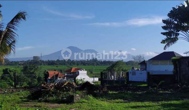 For Rent Land on Gandamayu Street, Munggu