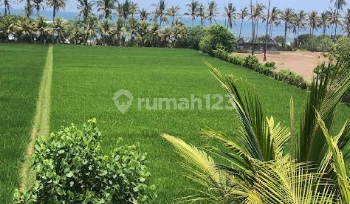 44 are loss pantai Barang Super Baru loss pantai