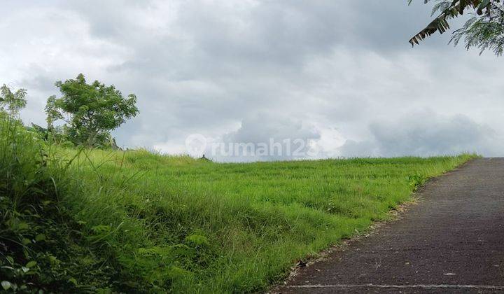 Dijual Tanah Di Kawasan Nyitdah Kediri Tabanan Dekat Pantai 1